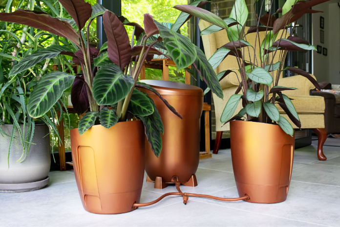 RHS Endorses AutoPot’s Khloris A First in Indoor Plant Care