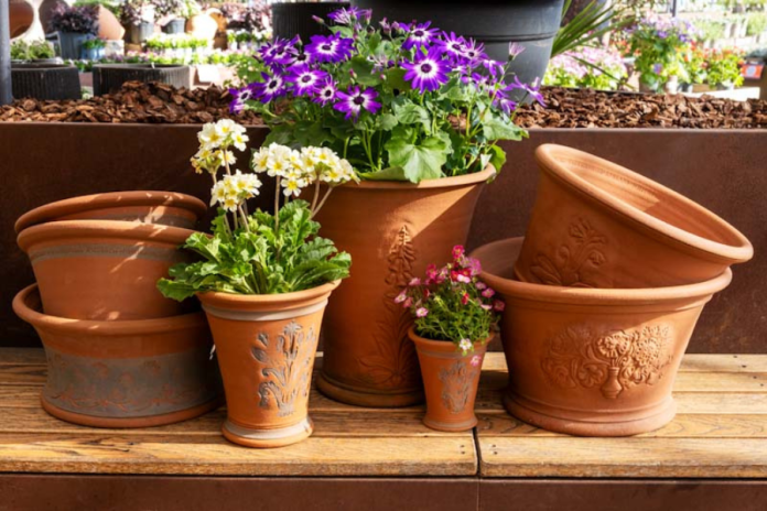RHS joins the 50th anniversary celebrations for Whichford Pottery