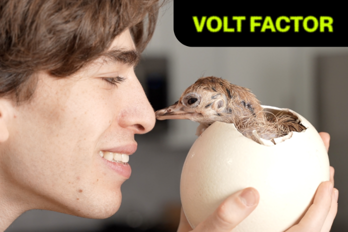 Volt Factor Signs Dr. Plants for Global Licensing and Brand Expansion