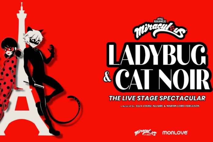 Lady Bug e Cat Noir Cover Image